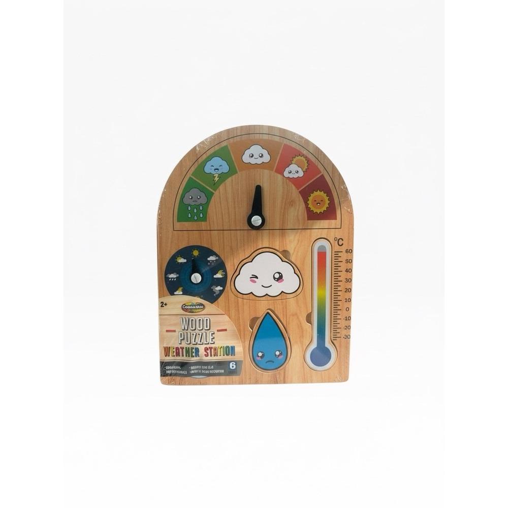Wooden Montessori Learning Weather Station Educational Toy for Babies